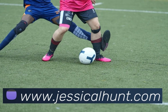 企业概况
